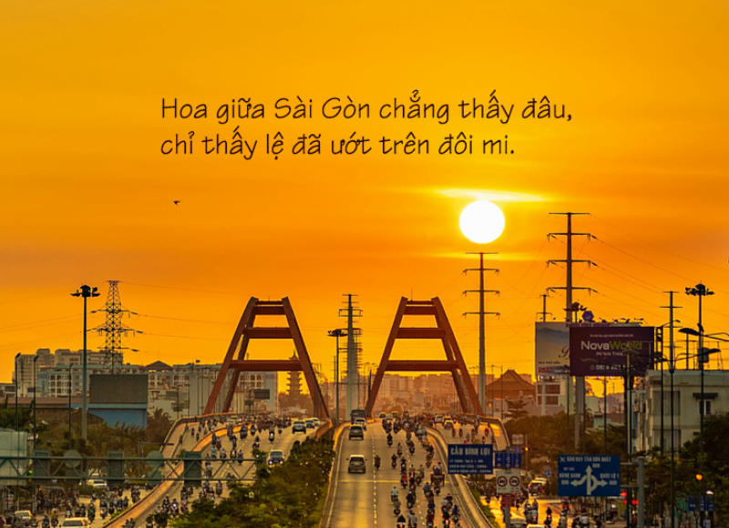 STT Thành Phố Hoa Lệ Gallery 2