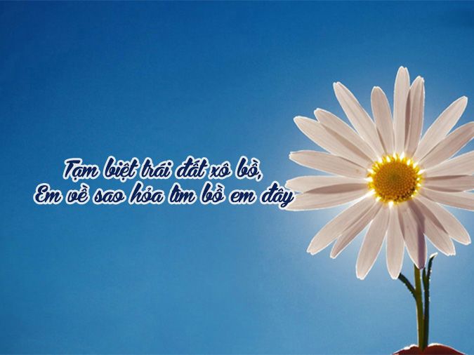 STT Thơ Hay Ngắn - Gợi cảm xúc, chạm đến trái tim Gallery 2