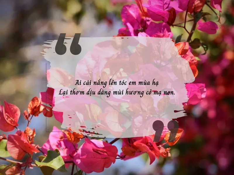 STT Thơ Mộng: Gợi Cảm Tâm Hồn, Lan Tỏa Niềm Vui Gallery 1