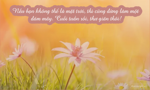 STT Thứ 7 Hài Hước: Tuyển Tập Những Câu Nói Bựa Nhất