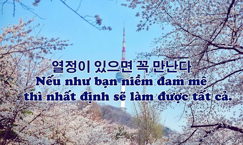 STT tiếng Hàn buồn - Tuyển tập những câu nói chất chứa tâm trạng