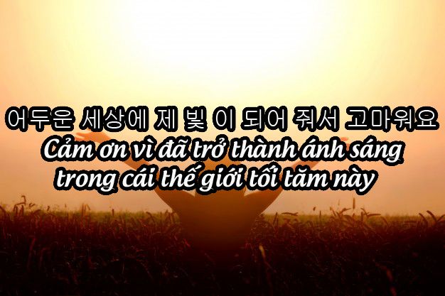 STT tiếng Hàn hay và ý nghĩa: Tuyển tập câu nói tiếng Hàn ý nghĩa nhất Gallery 2