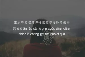 STT Tiếng Trung Hay và Ý Nghĩa: Tổng hợp những câu nói tiếng Trung ý nghĩa nhất Gallery 2