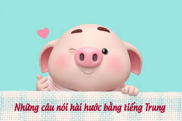 STT Tiếng Trung Hài Hước: Cười Ngất Ngây Với Những Câu Nói Bá Đạo