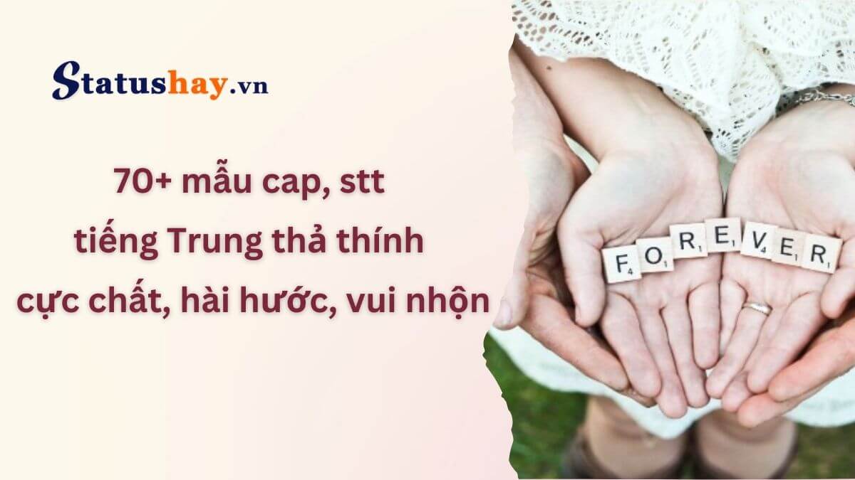 STT Tiếng Trung Hài Hước: Cười Ngất Ngây Với Những Câu Nói Bá Đạo Gallery 2