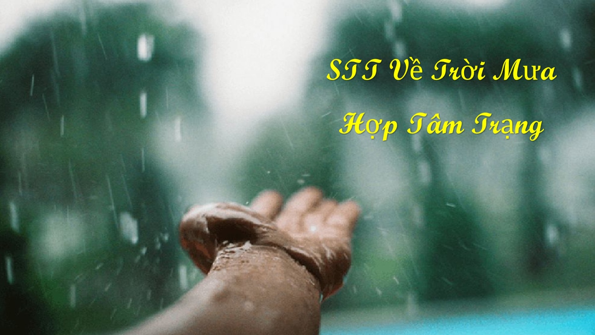 STT Trời Mưa Hài Hước: Cười Ngất Ngây Với Những Câu Nói Bá Đạo Gallery 2