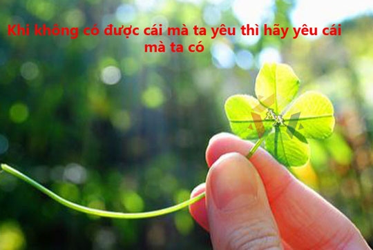STT Truyền Năng Lượng Tích Cực - Vươn Lên Từ Chính Bản Thân