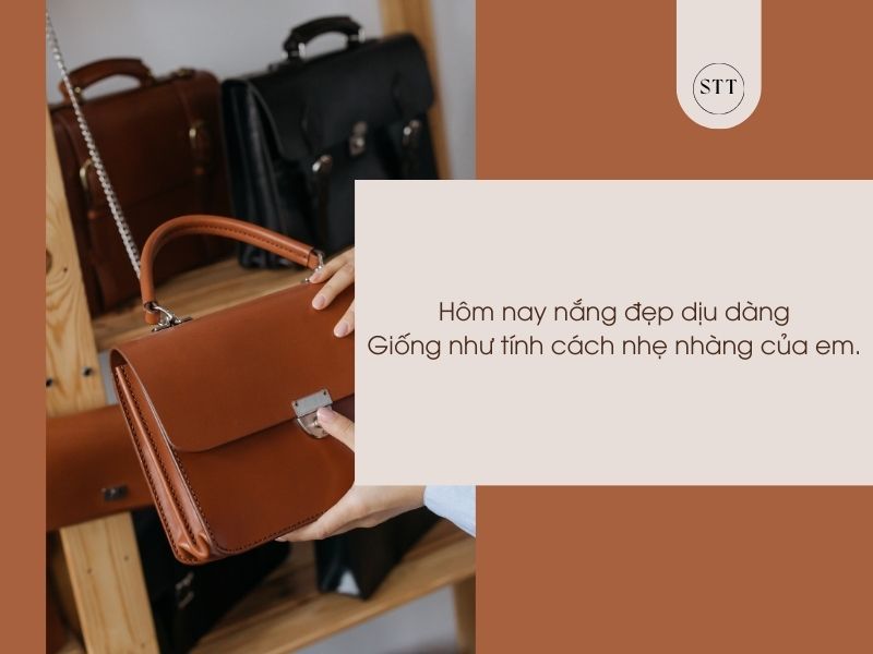 STT Túi Xách: Những Caption Hay Nhất Cho Cô Nàng Yêu Thời Trang Gallery 1