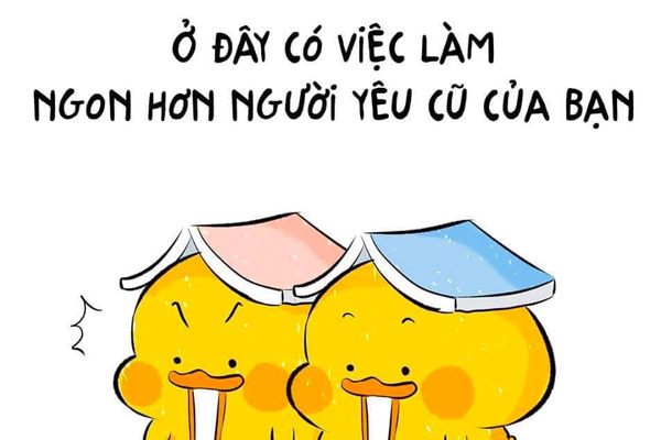 STT Tuyển Dụng Hài Hước: Thu Hút Ứng Viên Tài Năng Bằng Sự Hài Hước