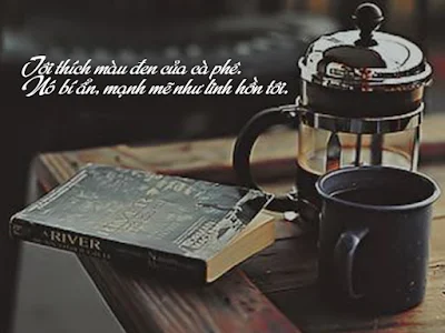STT Về Cafe Hay và Ý Nghĩa