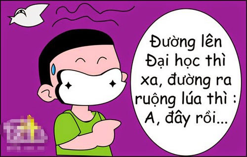 STT Học Tập Hài Hước: Những Câu Nói Châm Biếm Về Cuộc Sống Sinh Viên