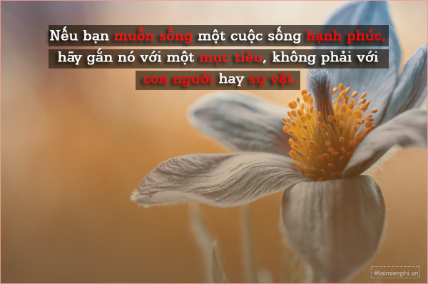 STT Về Màu Sắc: Ý Nghĩa và Cảm Hứng