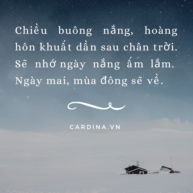 STT về mùa đông cô đơn: Những câu nói chạm đến trái tim