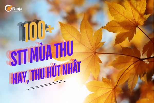 STT Mùa Thu Hài Hước: Những Câu Nói Chế Hay Nhất Về Mùa Thu
