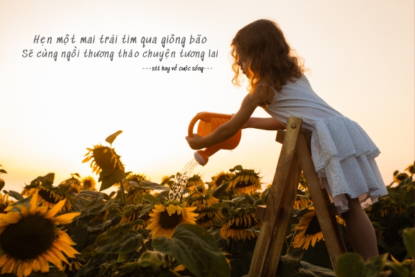 STT Về Quê Hài Hước: Những Câu Nói Cười Ra Nước Mắt Về Cuộc Sống Quê Gallery 2