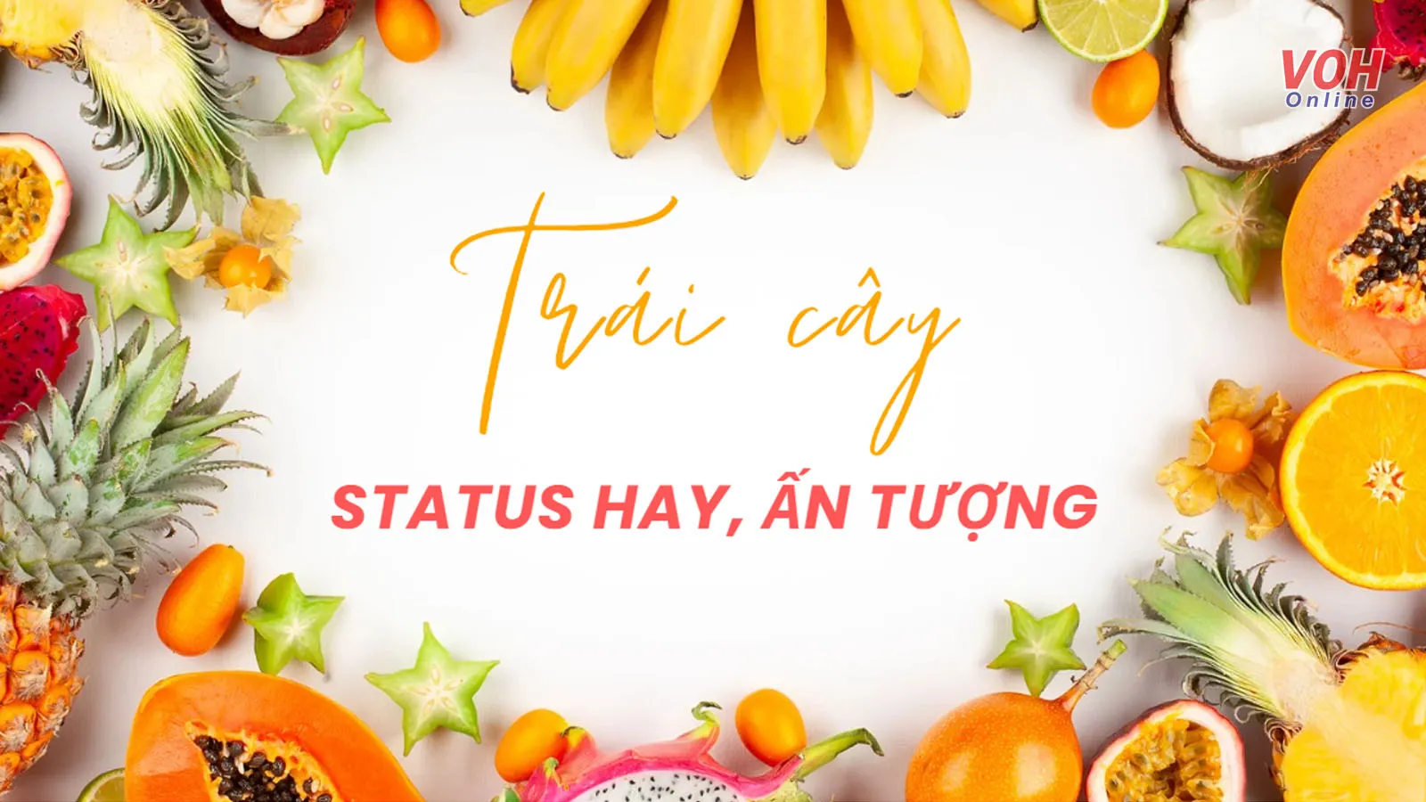 STT Hay, Ý Nghĩa Về Trái Cây - Cập Nhật Mới Nhất