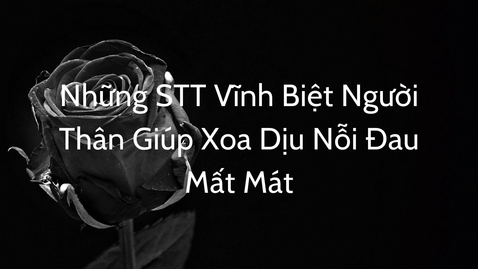 STT Vĩnh Biệt Bà - Lời Tạm Biệt Đầy Xúc Động