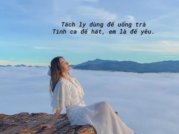STT Vui Nhộn Khi Đăng Ảnh: Bí Kíp Caption Hài Hước, Thu Hút Hàng Triệu Like