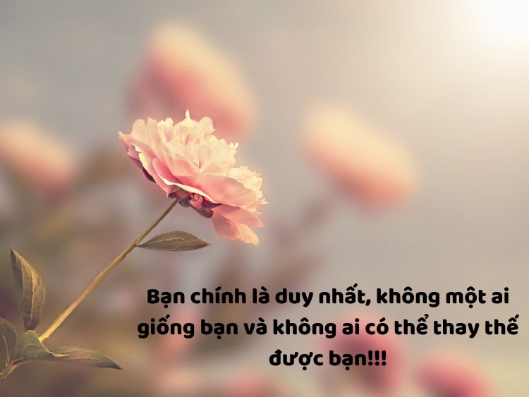 STT Vui: Tuyển tập những câu nói hài hước, bá đạo nhất Gallery 1