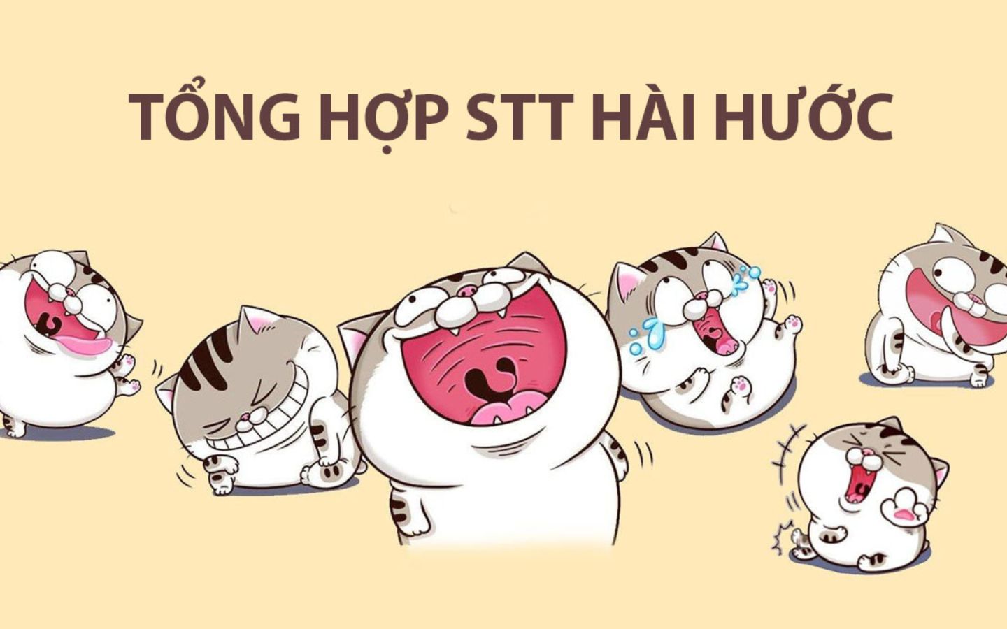 STT Zalo Vui - Tuyển Tập Những Câu Nói Hay, Hài Hước Nhất Gallery 1