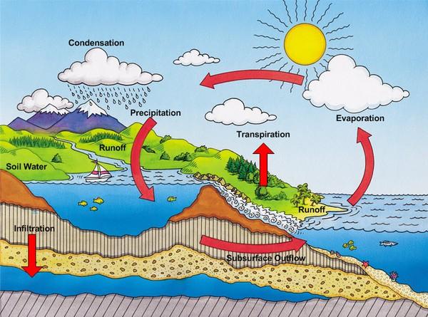 Sự bay hơi là gì?