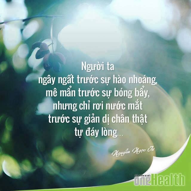 Status Hay Về Sự Chân Thành: Lời Nói Chân Thật - Cây Cầu Vững Chắc Của Mọi Mối Quan Hệ Gallery 2