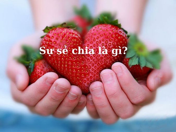 Sự Chia Sẻ Là Gì?