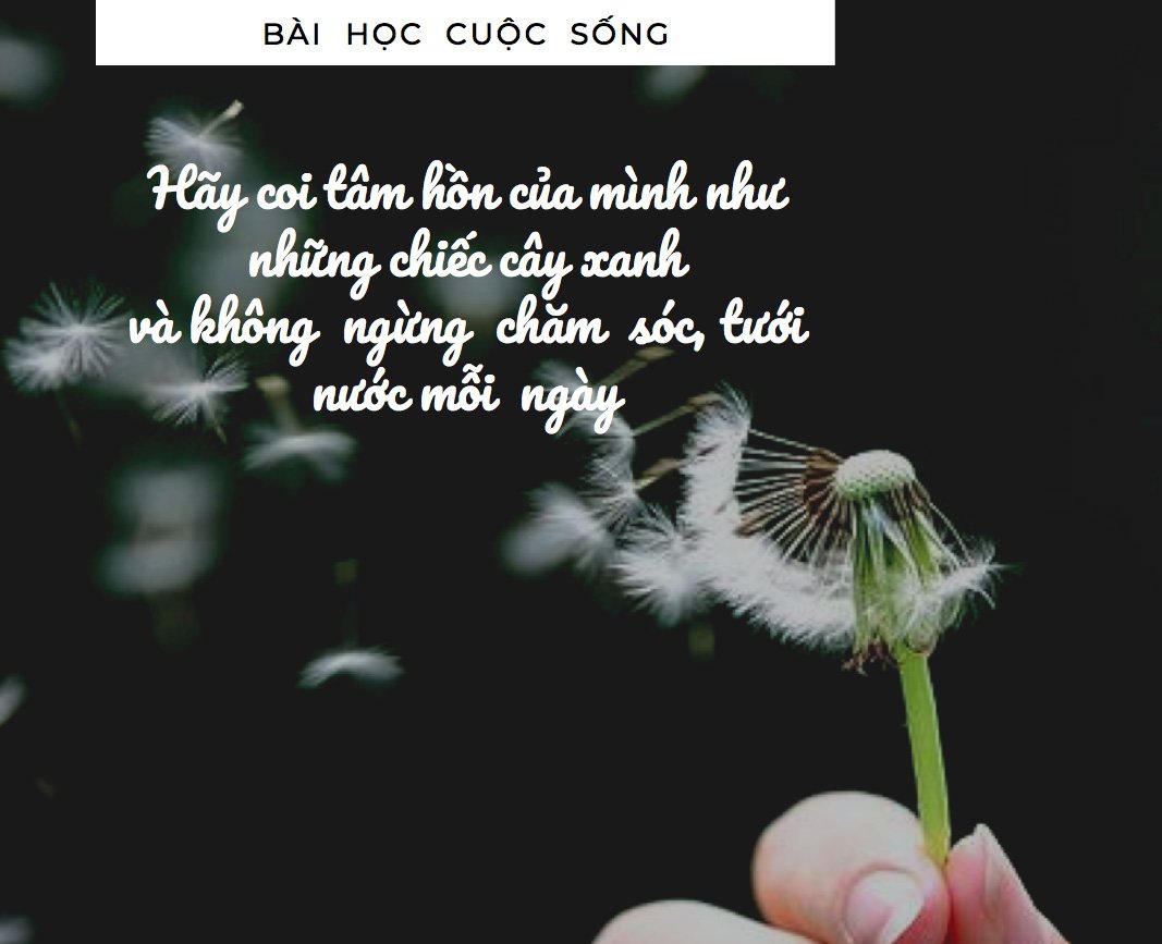 Sự Chung Thủy Của Người Vợ: Bí Quyết Cho Hạnh Phúc Gia Đình