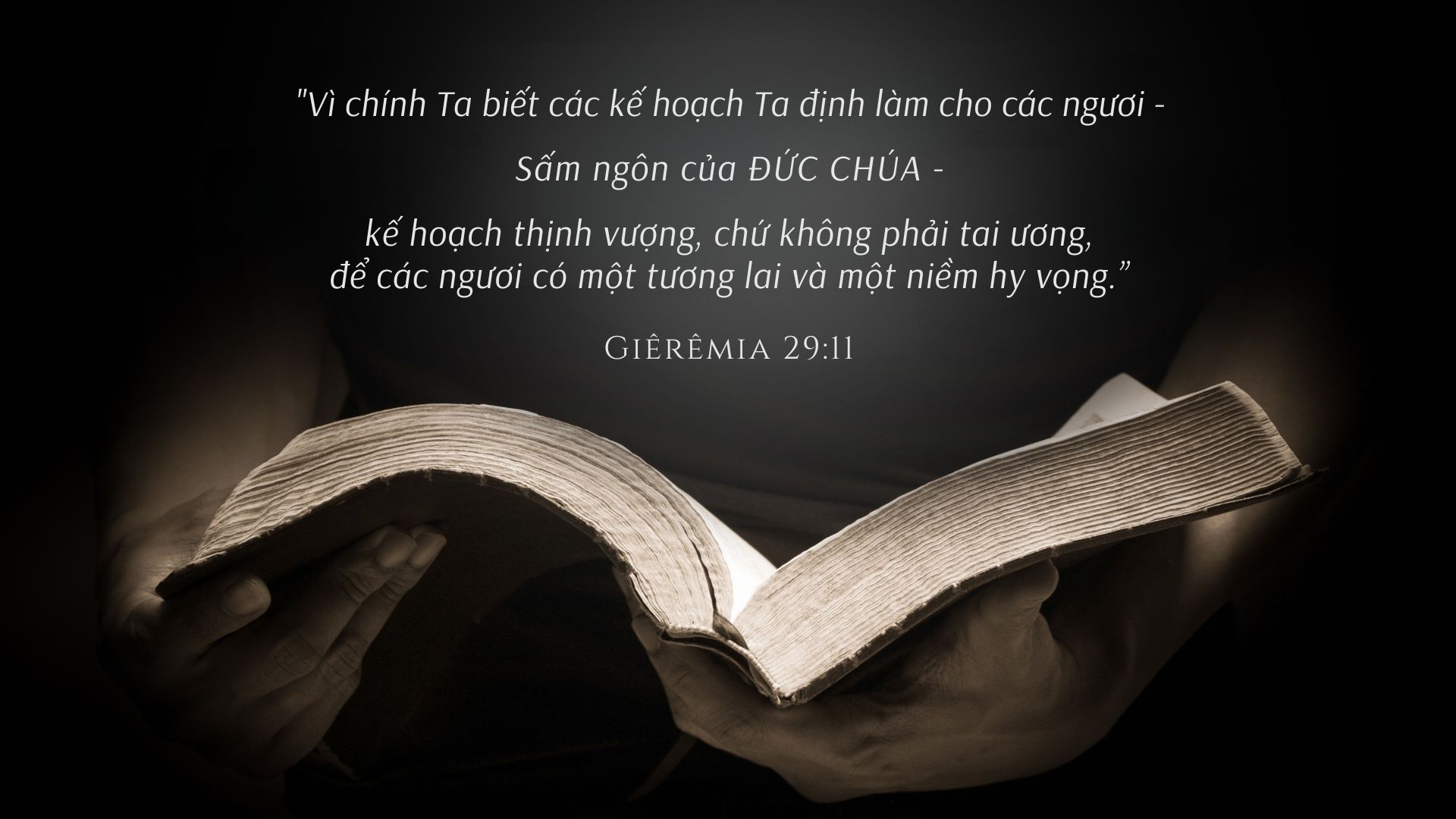 Cả Tiên Giới Đều Nghĩ Ta Có Nỗi Khổ Riêng Gallery 1