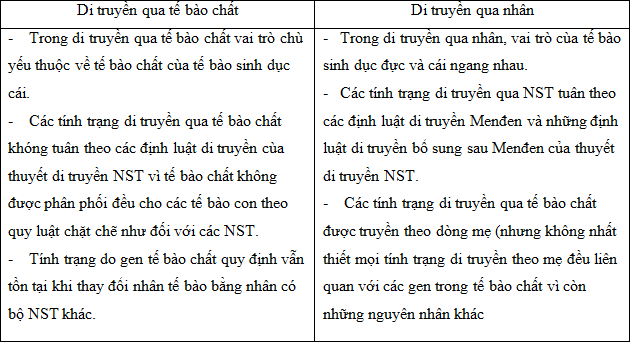 Điều Kiện Cơ Bản Đảm Bảo Sự Di Truyền Độc Lập Của Các Cặp Tính Trạng Gallery 1