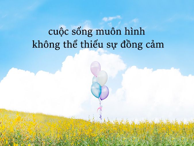 Sự đồng cảm và chia sẻ là gì?