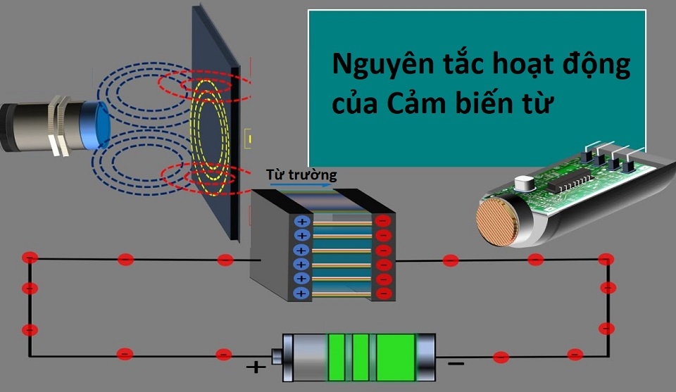 Cách Xác Định Từ Trường Gallery 2