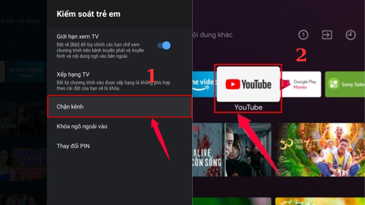Youtube trên Tivi Gallery 2