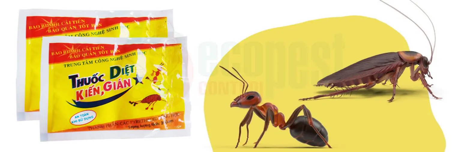 Cách đuổi kiến hôi hiệu quả Gallery 2