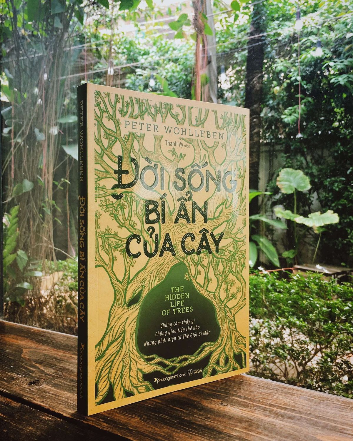 Đời sống bí ẩn của cây Gallery 1
