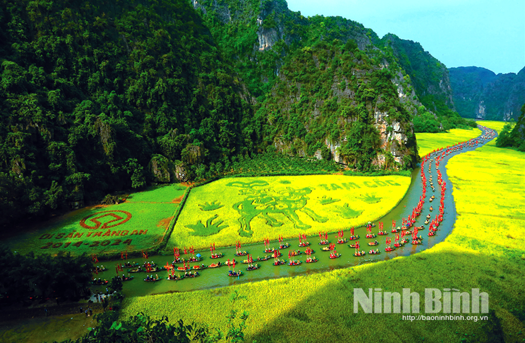 Trên đồng lúa vàng một bầy sơn ca Gallery 1