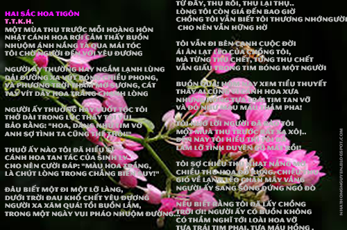 Văn Thơ Lai Láng: Sự Kết Hợp Tuyệt Vời Giữa Văn Học Và Thơ Ca Gallery 1