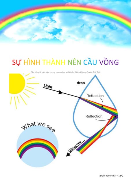Hiện tượng cầu vồng: Sự hình thành, màu sắc và ý nghĩa Gallery 1