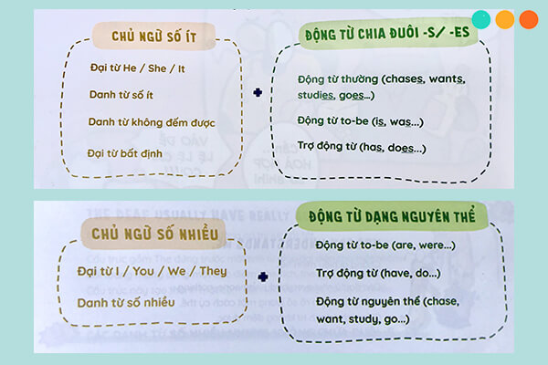 Sự Hòa Hợp Giữa Chủ Ngữ Và Động Từ - Sơ Đồ Tư Duy