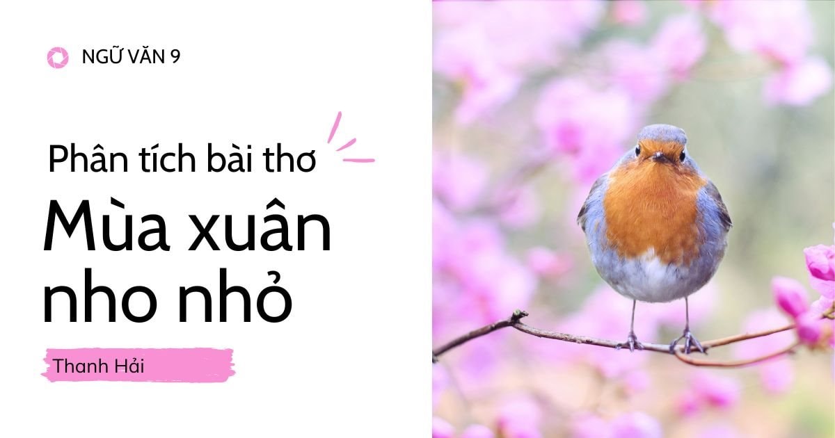 Ý nghĩa nhan đề Mùa xuân nho nhỏ Gallery 2