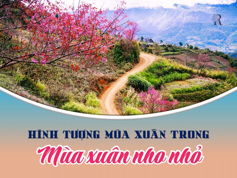 Mạch Cảm Xúc Mùa Xuân Nho Nhỏ Gallery 2