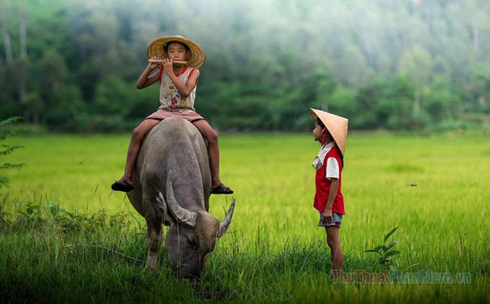 Khi Trở Lại Chốn Cũ Quê Xưa Từ Thức Thấy Những Gì Gallery 2