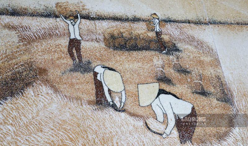 Cô Gái Đẹp Và Hạt Gạo Gallery 1