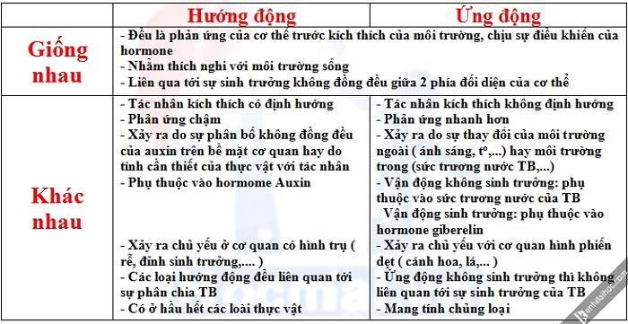 So sánh hướng động và ứng động Gallery 1