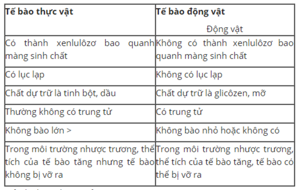 So sánh tế bào động vật và thực vật Gallery 1