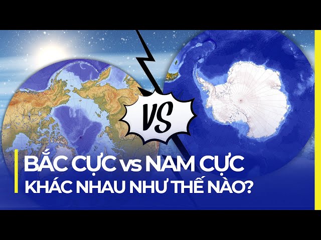 Bắc Cực và Nam Cực: Sự Khác Biệt Cơ Bản Gallery 1