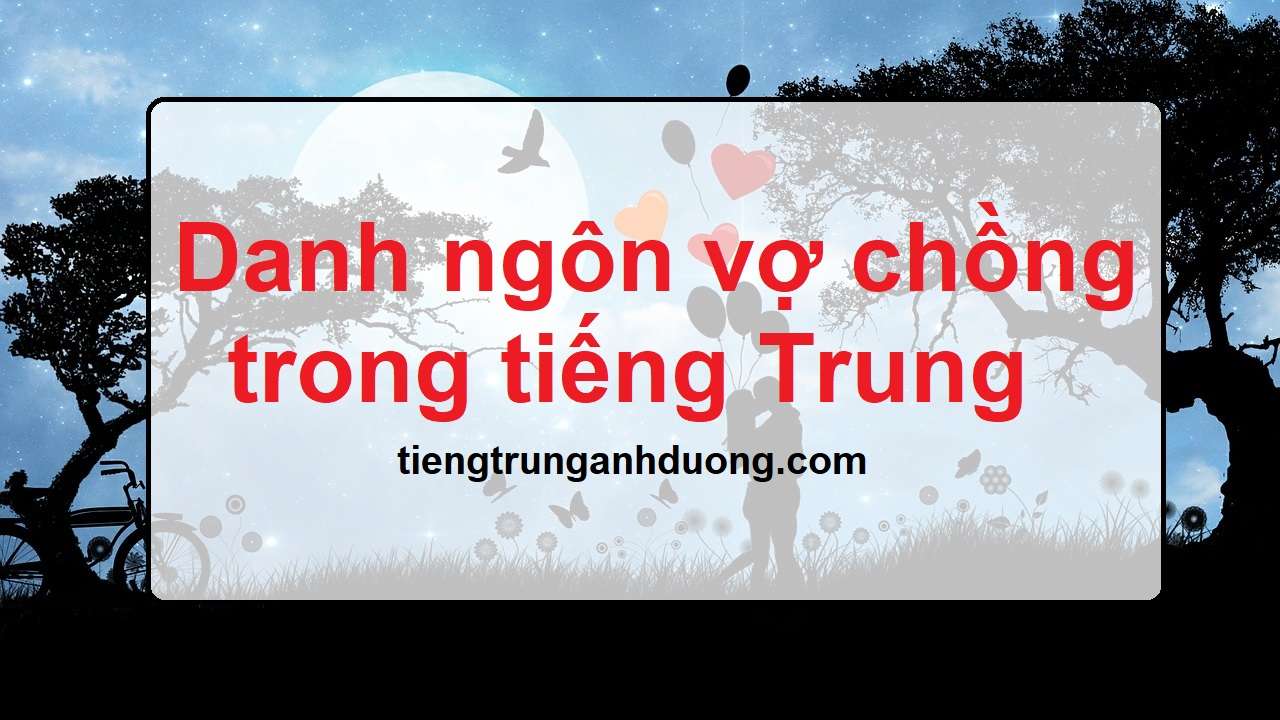 Vợ Chồng Trong Tiếng Hán Việt Gallery 2