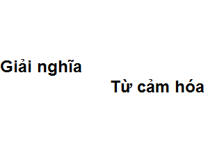 Cảm hóa nghĩa là gì? Gallery 2