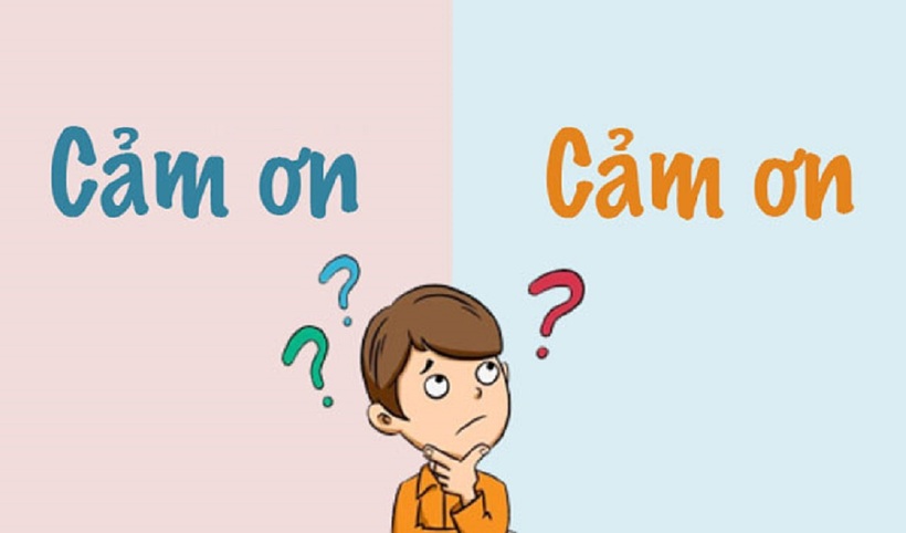 Cám ơn hay cảm ơn? Gallery 1