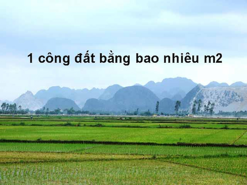1 Công Đất Là Bao Nhiêu? Gallery 1